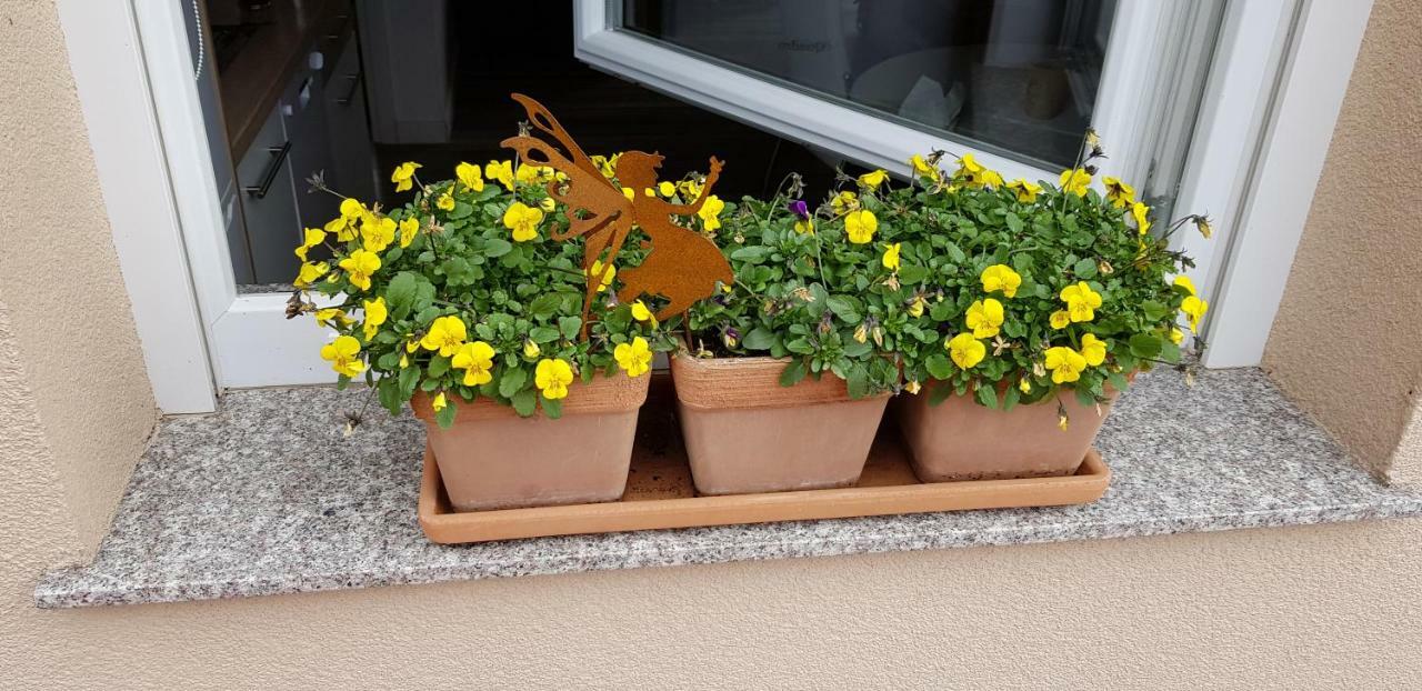 Apartmani Tuheljske Tuheljske Toplice Bagian luar foto